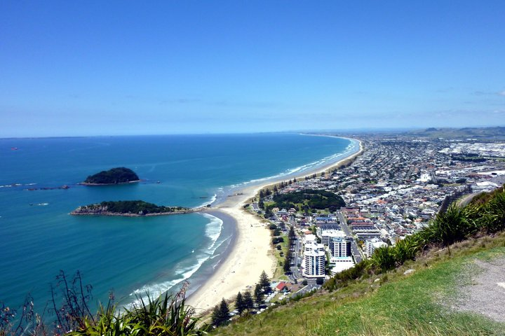 Tauranga Shore Excursion: History & Kiwifruit Tasting - 4 Hours - Photo 1 of 11